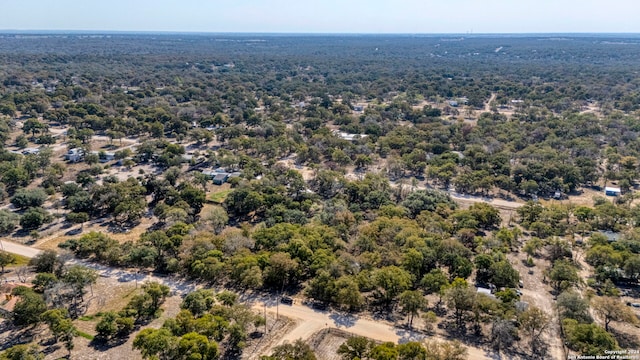 1301 Roemer Ln, Floresville TX, 78114 land for sale