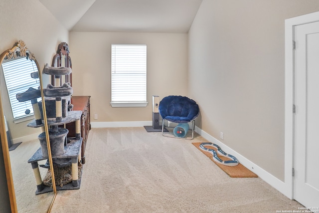 interior space featuring carpet flooring and lofted ceiling