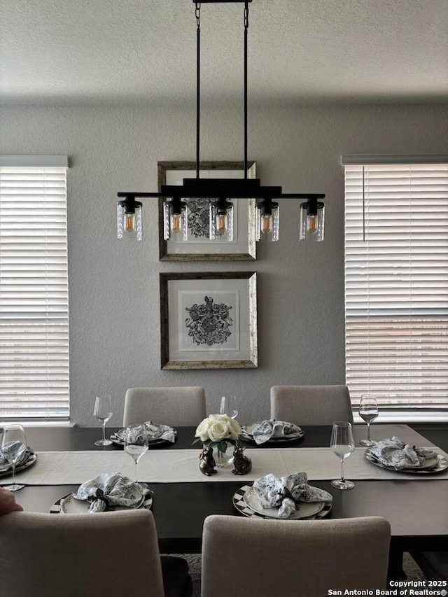 3443 Iron Cyn, Bulverde, TX 78163 - dining room featuring a textured wall