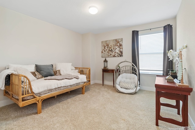 sitting room with carpet flooring