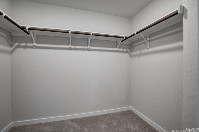 spacious closet with carpet flooring