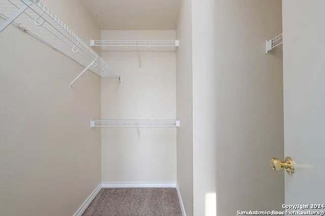 spacious closet with carpet