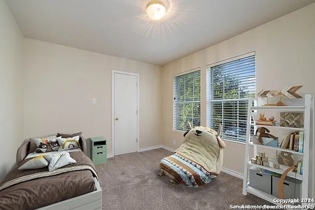 view of carpeted bedroom