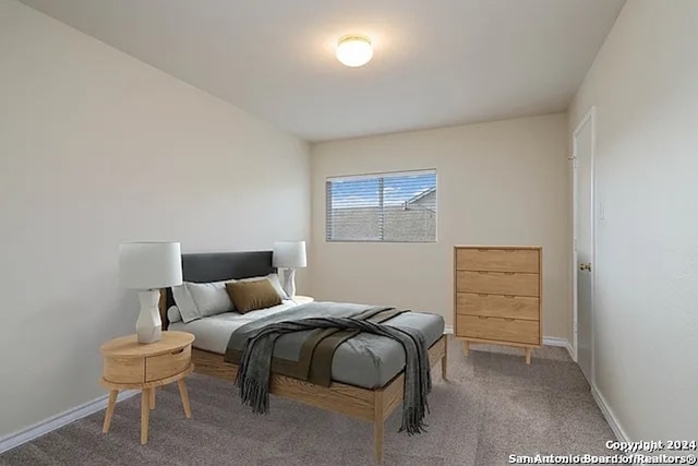 view of carpeted bedroom