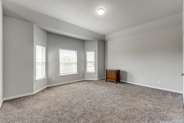 spare room featuring lofted ceiling, carpet, and a textured ceiling