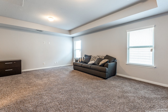 sitting room featuring carpet floors and a raised ceiling