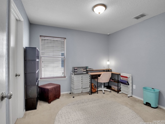 carpeted office space with a textured ceiling