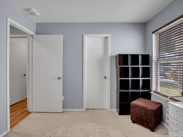 bedroom with light colored carpet, a textured ceiling, and a closet