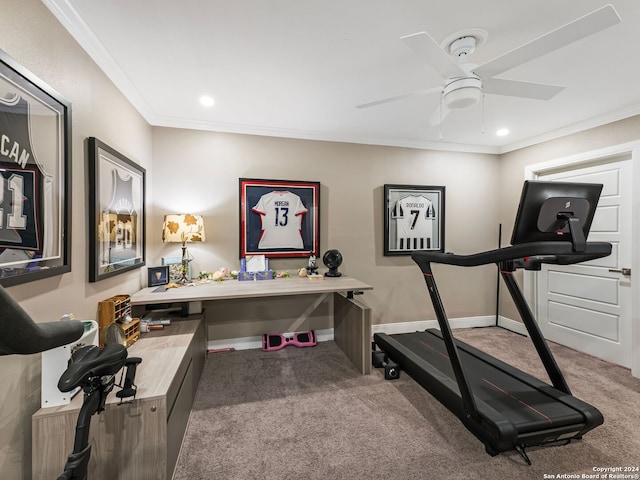 exercise room with carpet floors, crown molding, and ceiling fan