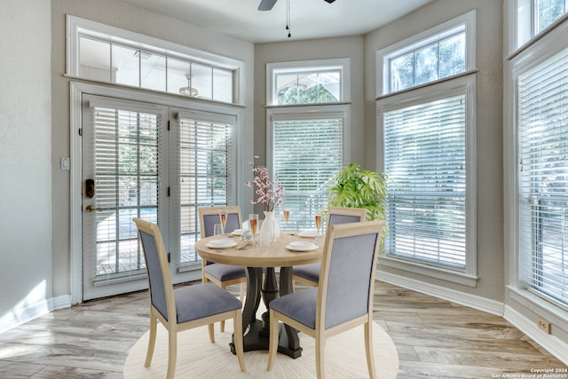 dining room featuring ceiling fan, light hardwood / wood-style floors, and plenty of natural light