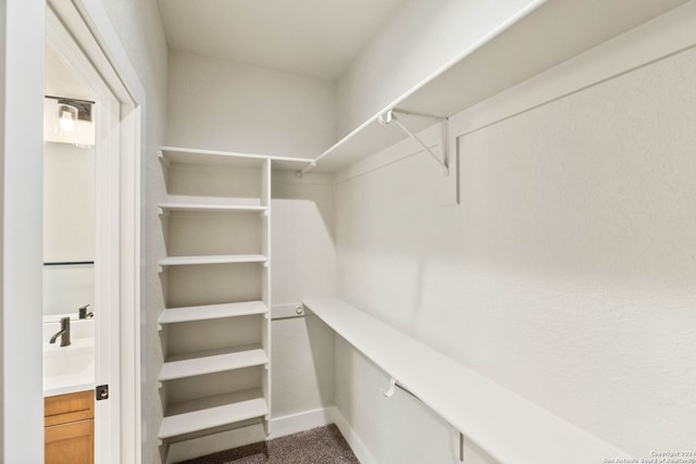 view of walk in closet