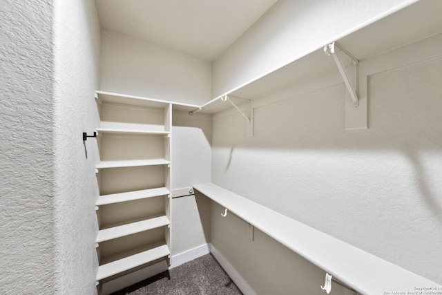 spacious closet with dark colored carpet