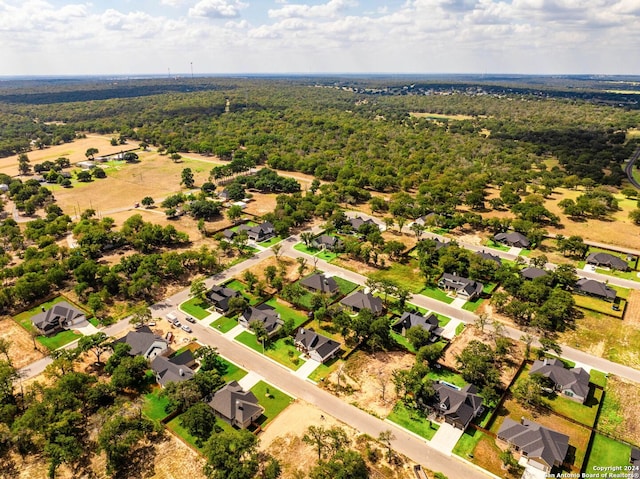 bird's eye view