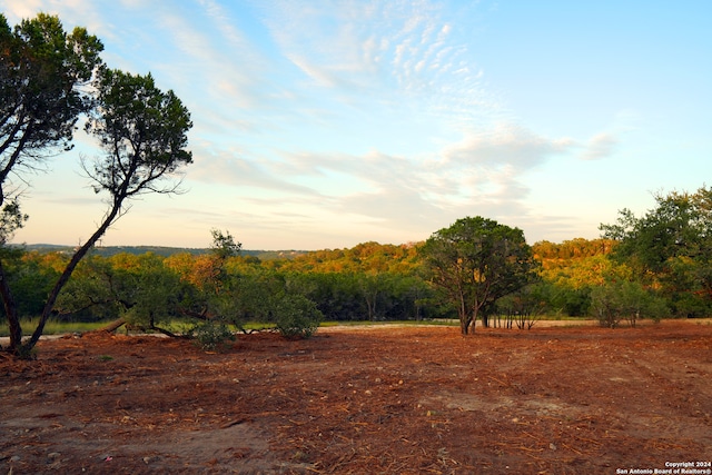 1882 Paradise Pkwy, Canyon Lake TX, 78133 land for sale