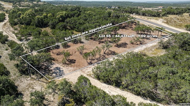 Listing photo 3 for 1882 Paradise Pkwy, Canyon Lake TX 78133