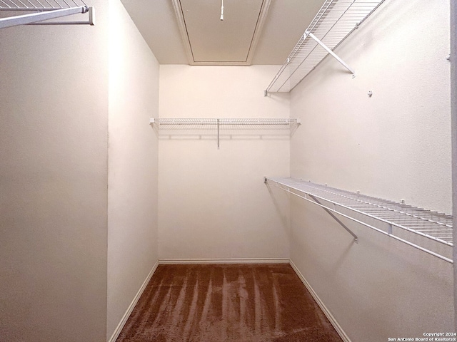 walk in closet with dark colored carpet