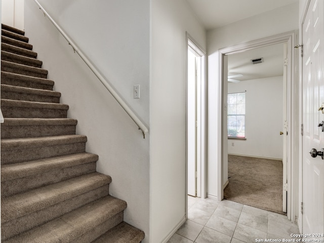 staircase with carpet