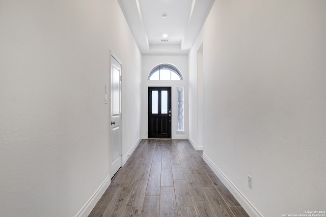 entrance foyer featuring a tray ceiling and dark wood-type flooring