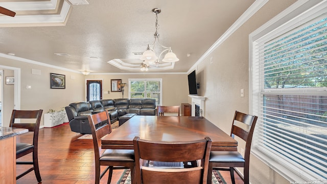 dining area with a textured ceiling, dark hardwood / wood-style floors, ceiling fan with notable chandelier, a raised ceiling, and ornamental molding