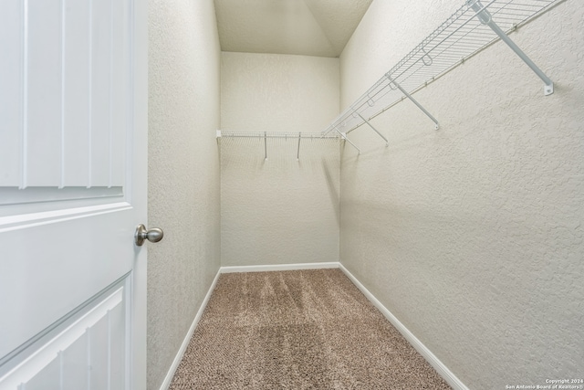 walk in closet featuring carpet