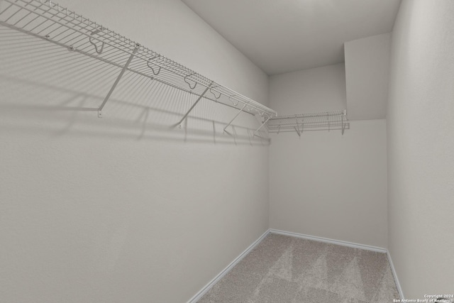 walk in closet with carpet flooring