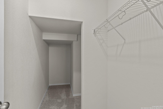 spacious closet featuring carpet