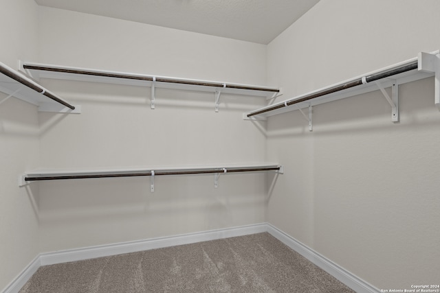 spacious closet featuring carpet floors