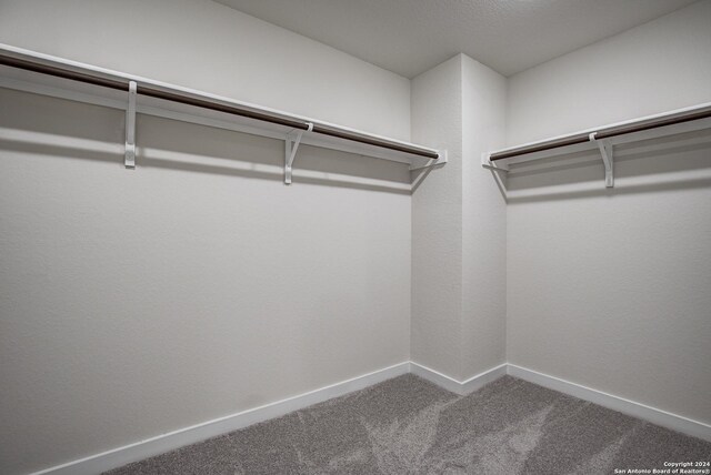 spacious closet featuring carpet floors