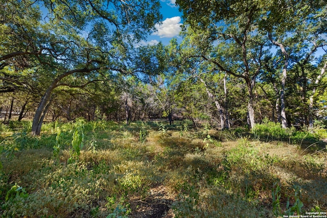 1345 Merlot, New Braunfels TX, 78132 land for sale