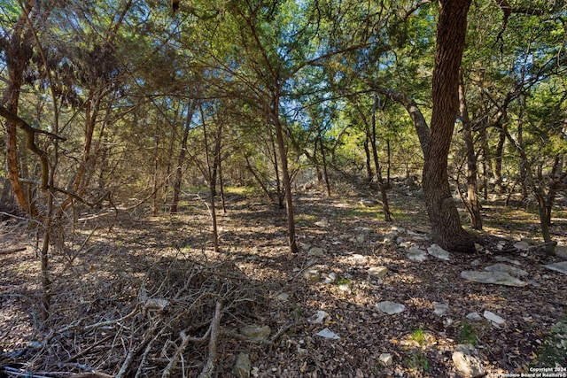 1345 Merlot, New Braunfels, TX 78132