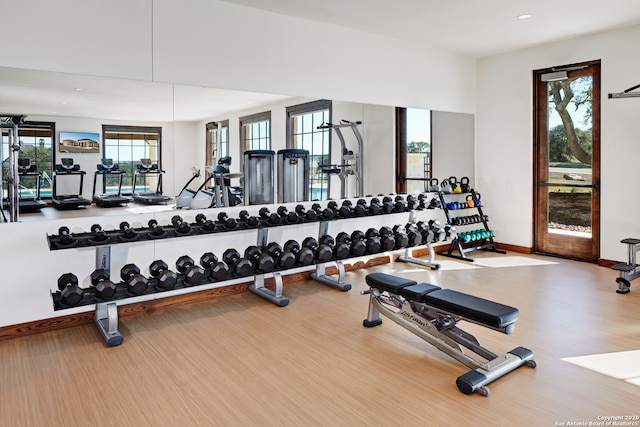 gym featuring wood-type flooring