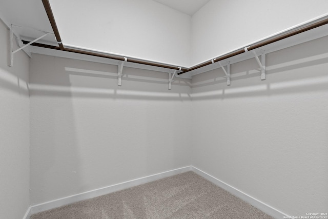 spacious closet featuring carpet flooring