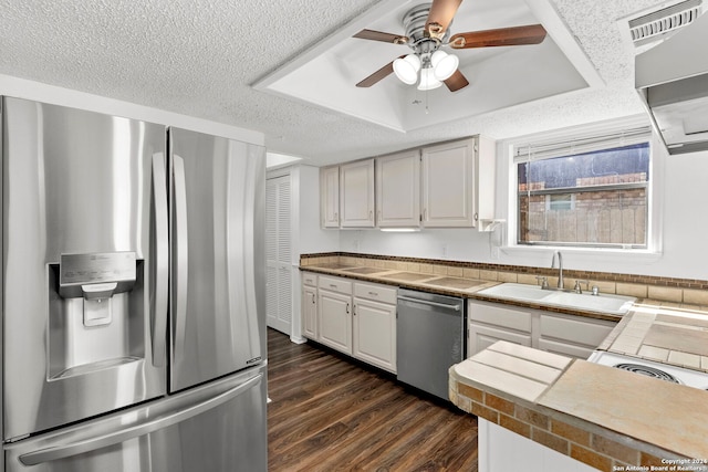 kitchen with stainless steel appliances, sink, dark hardwood / wood-style flooring, a tray ceiling, and white cabinetry