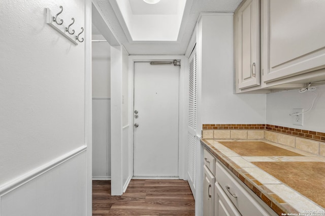 interior space featuring tile counters, white cabinetry, and dark hardwood / wood-style floors