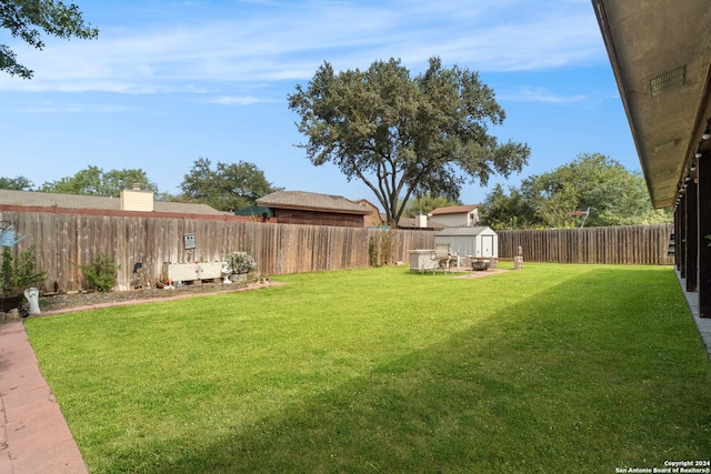 view of yard featuring a storage unit