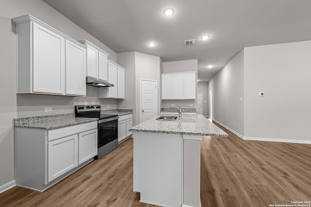 kitchen with under cabinet range hood, light wood-style floors, visible vents, stainless steel electric stove, and a sink