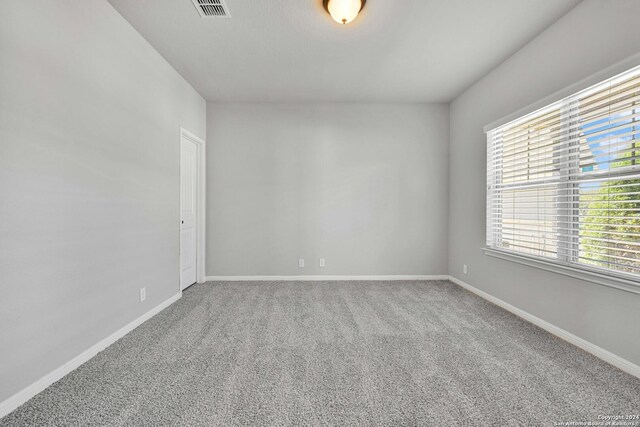 unfurnished room with carpet flooring and a wealth of natural light