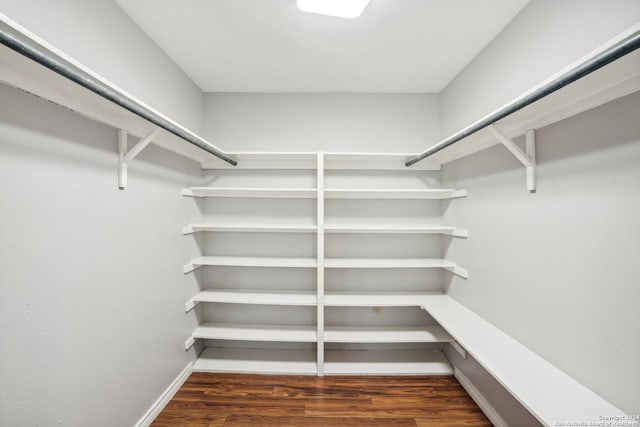 walk in closet featuring dark wood-type flooring