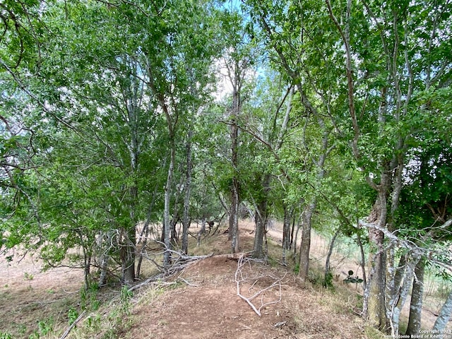 view of landscape