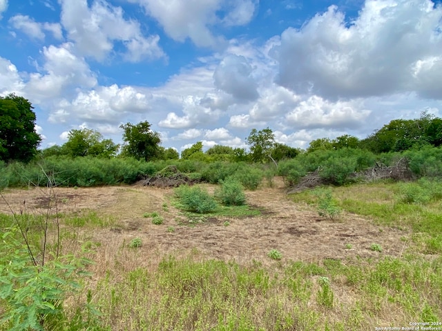 view of nature