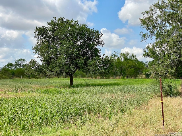 view of local wilderness featuring a rural view