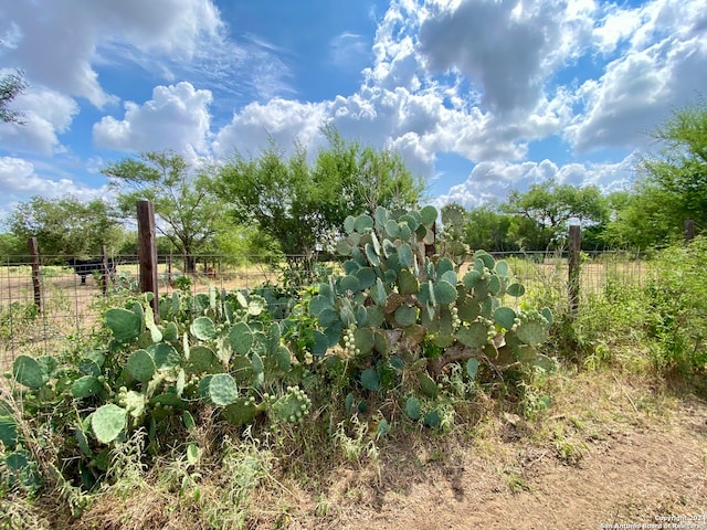 view of nature featuring a rural view