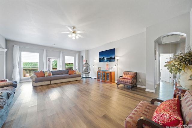 living room with ceiling fan and hardwood / wood-style floors