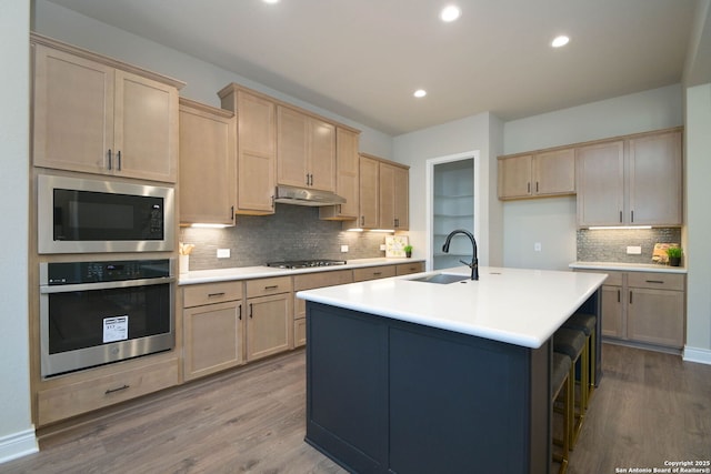 kitchen with appliances with stainless steel finishes, light brown cabinetry, sink, and a center island with sink