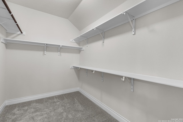 spacious closet featuring lofted ceiling and carpet flooring