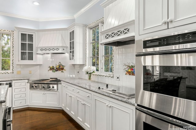 kitchen with premium range hood, white cabinets, stainless steel appliances, and a wealth of natural light