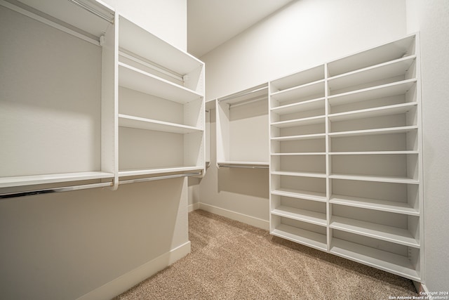 walk in closet featuring carpet floors