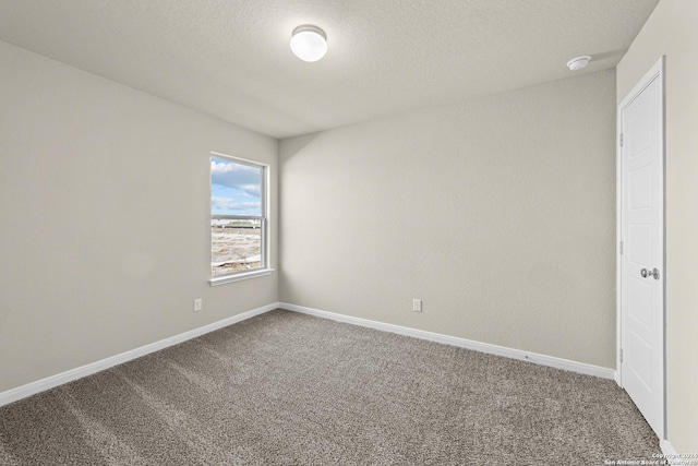 spare room with carpet flooring and a textured ceiling