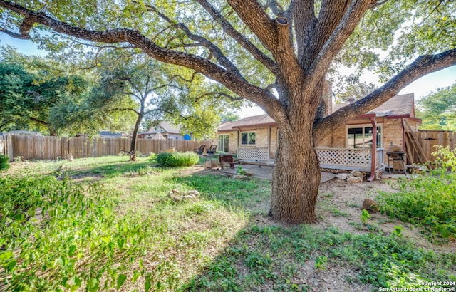 view of yard featuring a patio area