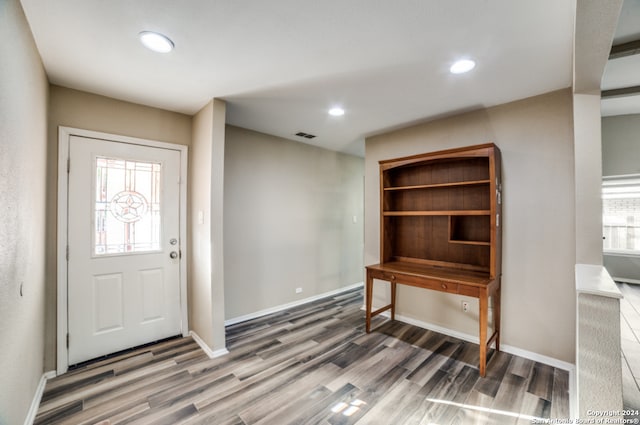 foyer featuring dark hardwood / wood-style floors and a healthy amount of sunlight